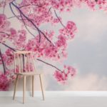 Cherry Blossom Wallpaper related category